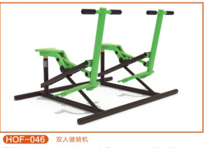 雙人健騎機(jī)