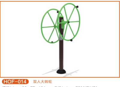雙人大轉輪